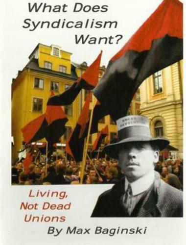 What Does Syndicalism Want?