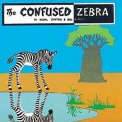 Confused Zebra