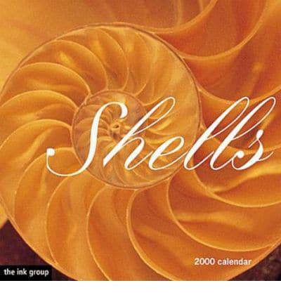 Shells - Mini Calendar 2000