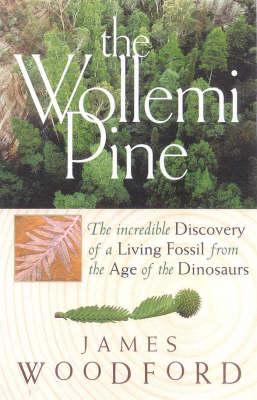 The Wollemi Pine