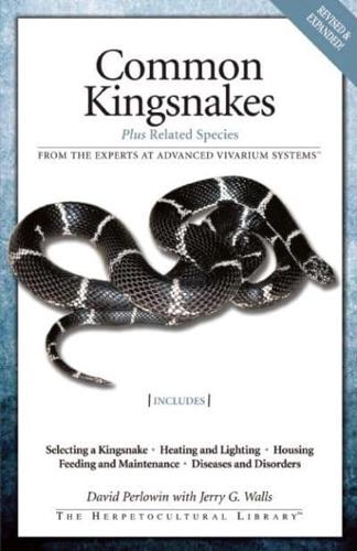 Common Kingsnakes Plus Related Species