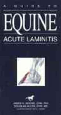 A Guide to Equine Acute Laminitis