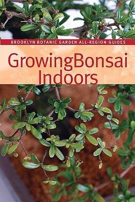 Growing Bonsai Indoors