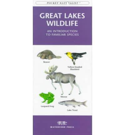 Great Lakes Wildlife