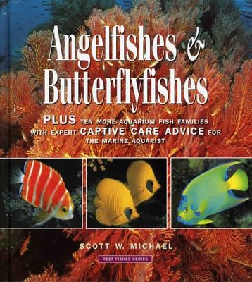 Angelfishes & Butterflyfishes