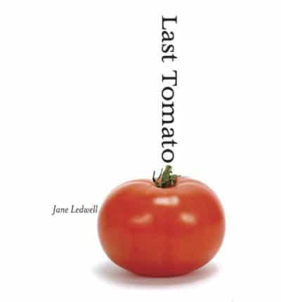 Last Tomato