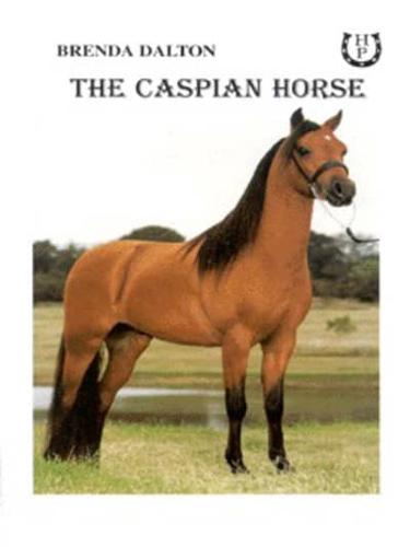 The Caspian Horse