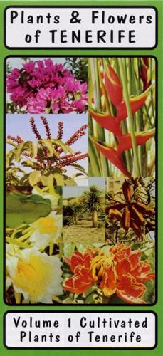 Plants and Flowers of Tenerife