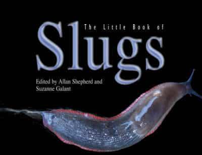 Little Book of Slugs