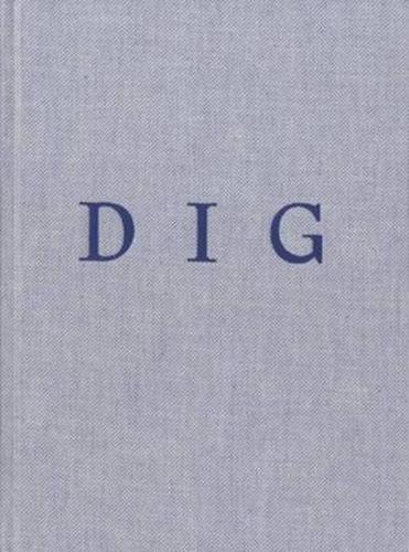 Daniel Silver, Dig