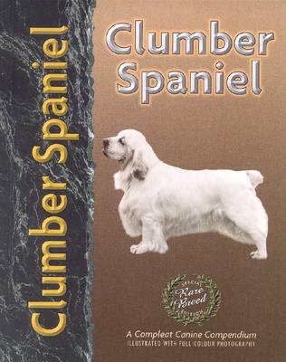 Clumber Spaniel