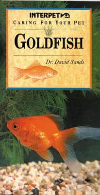 Caring for Your Pet Goldfish