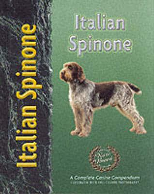 Italian Spinone