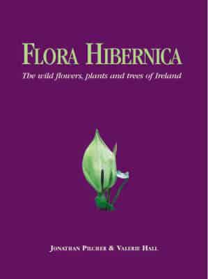 Flora Hibernica