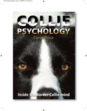 Collie Psychology