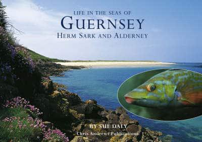 Sealife in Guernsey