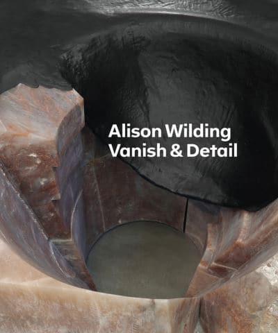 Alison Wilding - Vanish & Detail
