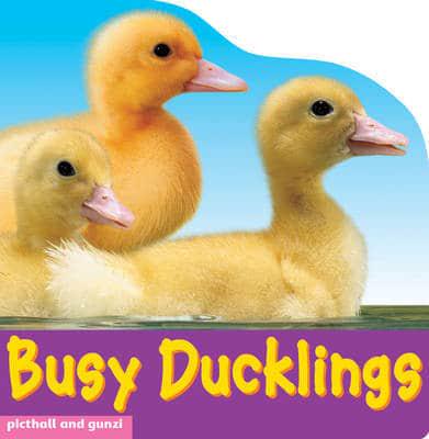 Busy Ducklings