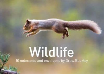 Wildlife by Drew Buckley - 10 Notecards and Envelopes