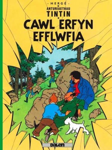 Cawl Erfyn Efflwfia