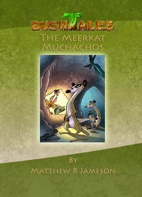 The Meerkat Muchachos