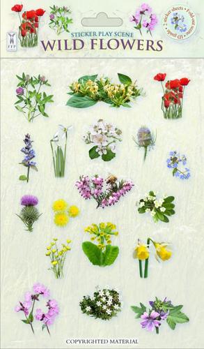 Sticker Play Scene: Wild Flowers