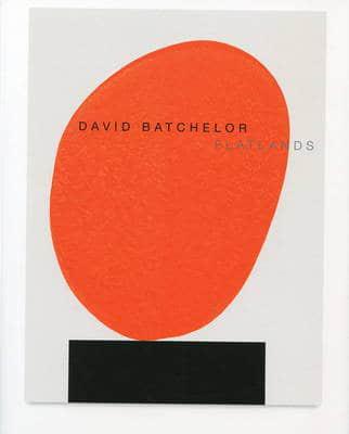 David Batchelor - Flatlands