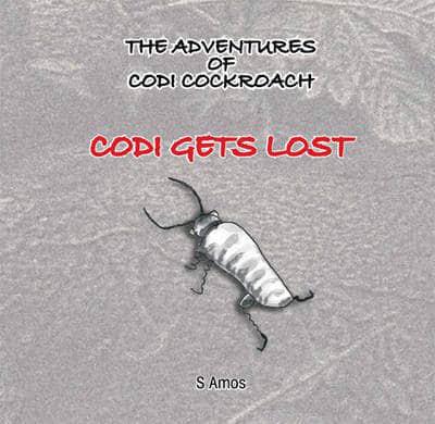 Codi Gets Lost