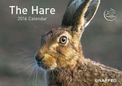 Hare 2016 Calendar, The