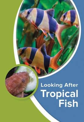 Looking After Tropical Fish