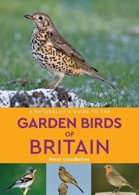 A Naturalist's Guide to Garden Birds of Britain & Northern Europe
