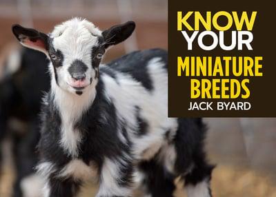 Know Your Miniature Breeds
