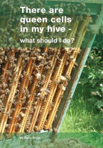 There are queen cells in my hive:  - what should I do?