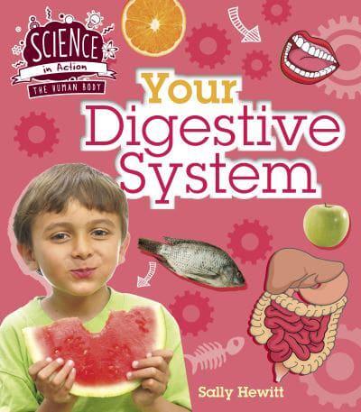 Your Digestive System