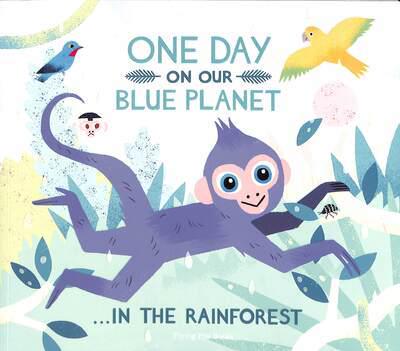 One Day on Our Blue Planet ... In the Rainforest