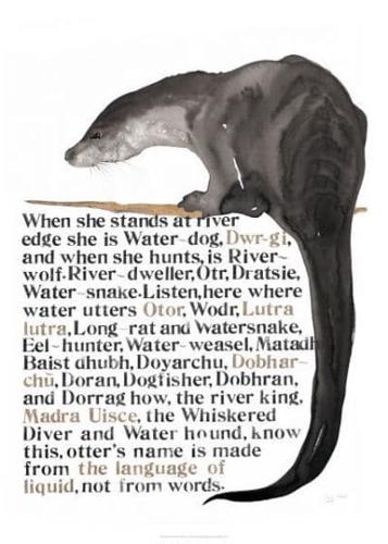 Jackie Morris Poster: Names of the Otter, The