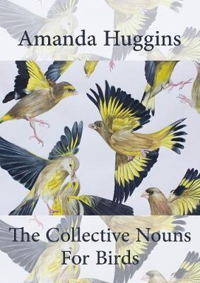 The Collective Nouns for Birds
