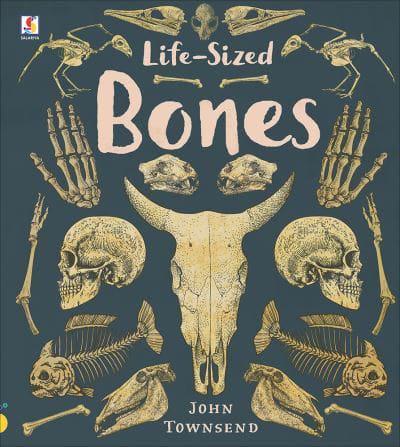Life-Sized Bones