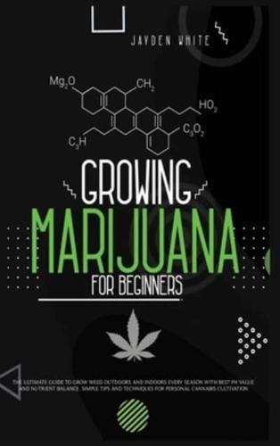 Growing Marijuana for Beginners