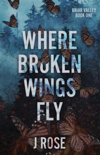 Where Broken Wings Fly