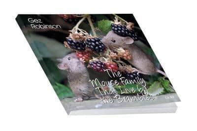 The The Mouse Family That Live by the Brambles