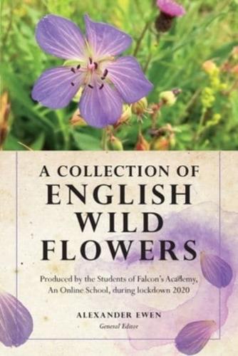 A Collection of English Wild Flowers