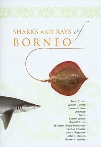 Sharks and Rays of Borneo