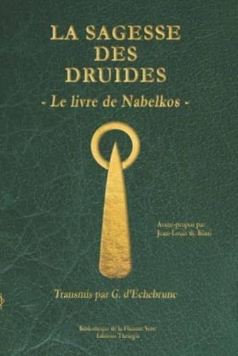 La Sagesse Des Druides