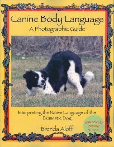 Canine Body Language