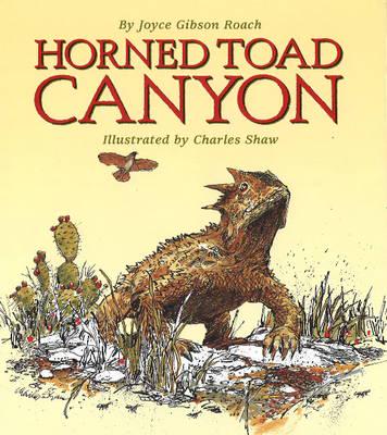 Horned Toad Canyon