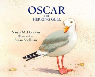 Oscar the Herring Gull