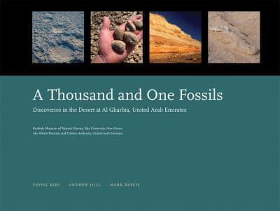 A Thousand and One Fossils