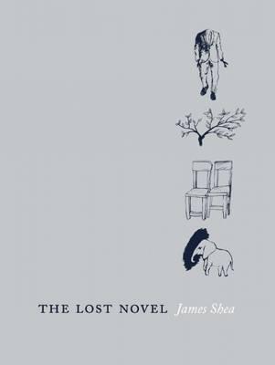 The Lost Novel