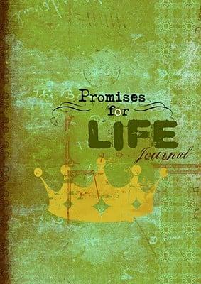 Promises for Life for Guys